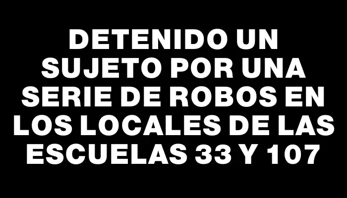 Detenido un sujeto por una serie de robos en los locales de las escuelas 33 y 107