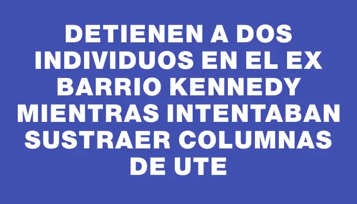 Detienen a dos individuos en el ex barrio Kennedy mientras intentaban sustraer columnas de Ute
