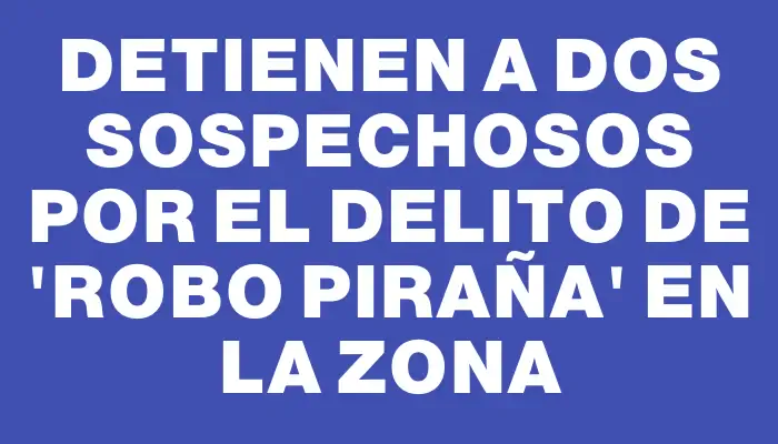 Detienen a dos sospechosos por el delito de "robo piraña" en la zona