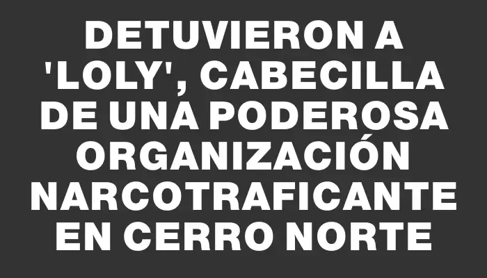 Detuvieron a "Loly", cabecilla de una poderosa organización narcotraficante en Cerro Norte