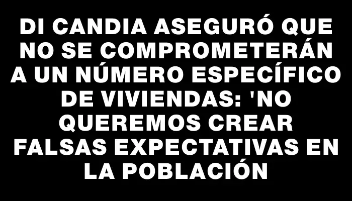 Di Candia aseguró que no se comprometerán a un número específico de viviendas: "No queremos crear falsas expectativas en la población