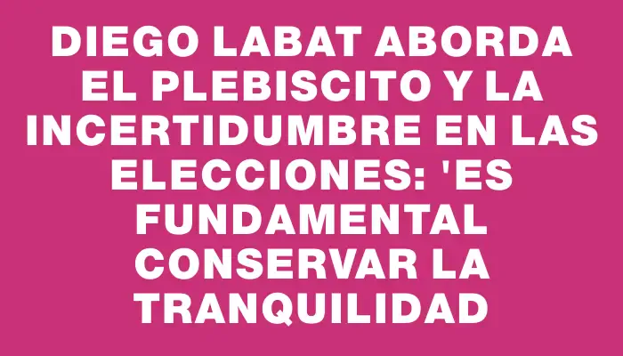 Diego Labat aborda el plebiscito y la incertidumbre en las elecciones: "Es fundamental conservar la tranquilidad