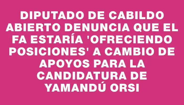 Diputado de Cabildo Abierto denuncia que el Fa estaría 