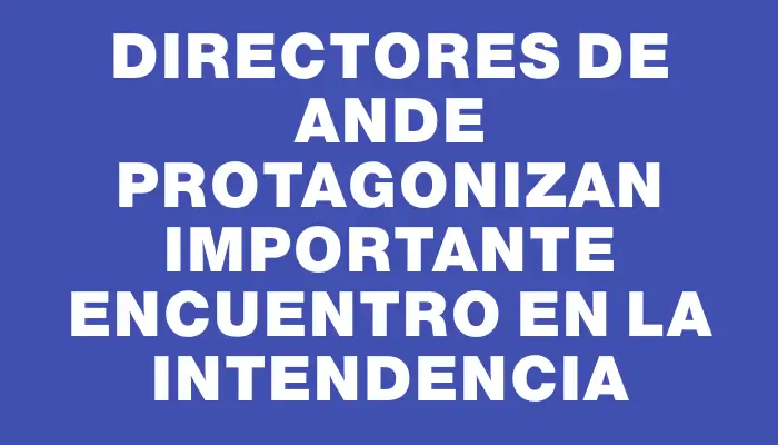 Directores de Ande protagonizan importante encuentro en la Intendencia