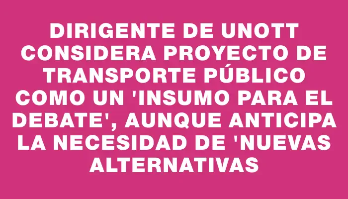 Dirigente de Unott considera proyecto de transporte público como un "insumo para el debate", aunque anticipa la necesidad de "nuevas alternativas