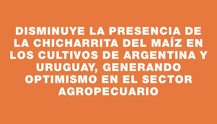 Disminuye la presencia de la chicharrita del maíz en los cultivos de Argentina y Uruguay, generando optimismo en el sector agropecuario