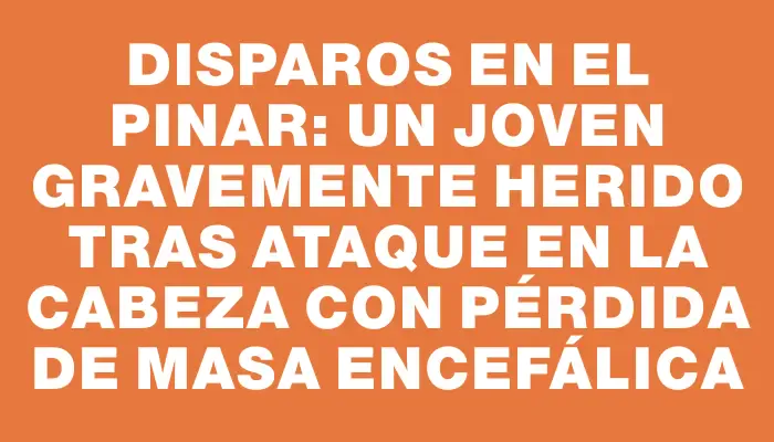 Disparos en El Pinar: un joven gravemente herido tras ataque en la cabeza con pérdida de masa encefálica