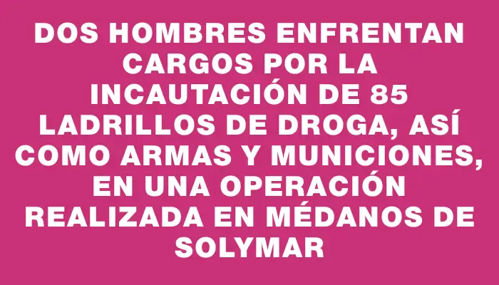 Dos hombres enfrentan cargos por la incautación de 85 ladrillos de droga, así como armas y municiones, en una operación realizada en Médanos de Solymar