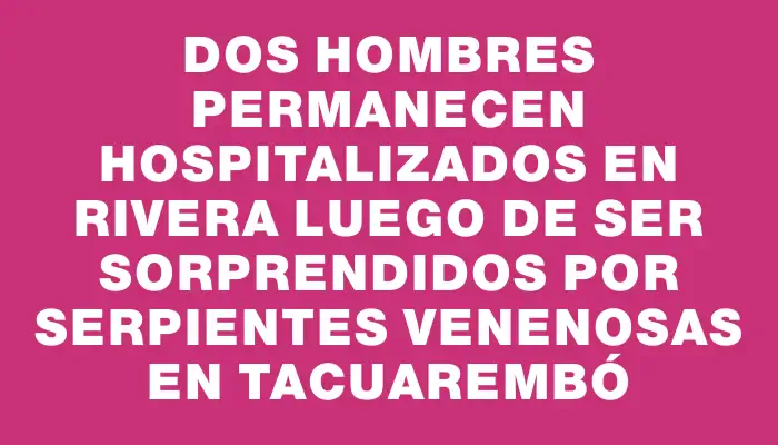 Dos hombres permanecen hospitalizados en Rivera luego de ser sorprendidos por serpientes venenosas en Tacuarembó