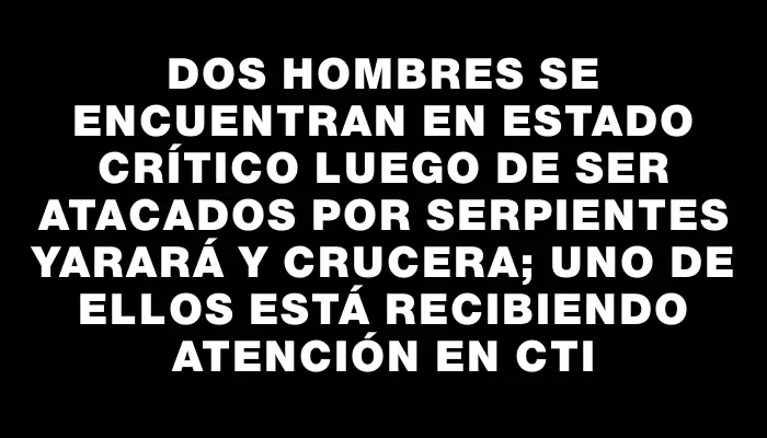 Dos hombres se encuentran en estado crítico luego de ser atacados por serpientes yarará y crucera; uno de ellos está recibiendo atención en Cti