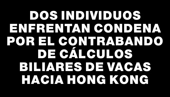 Dos individuos enfrentan condena por el contrabando de cálculos biliares de vacas hacia Hong Kong