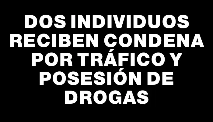 Dos individuos reciben condena por tráfico y posesión de drogas