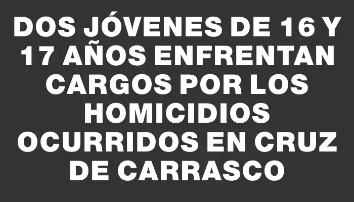 Dos jóvenes de 16 y 17 años enfrentan cargos por los homicidios ocurridos en Cruz de Carrasco