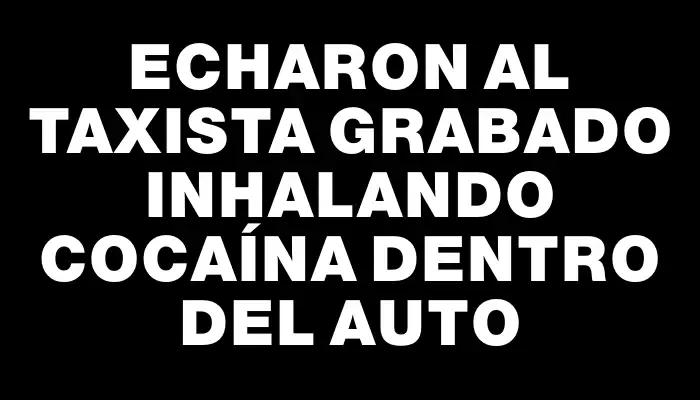 Echaron al taxista grabado inhalando cocaína dentro del auto