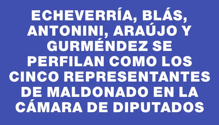 Echeverría, Blás, Antonini, Araújo y Gurméndez se perfilan como los cinco representantes de Maldonado en la Cámara de Diputados