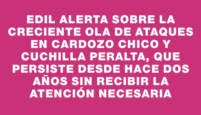 Edil alerta sobre la creciente ola de ataques en Cardozo Chico y Cuchilla Peralta, que persiste desde hace dos años sin recibir la atención necesaria