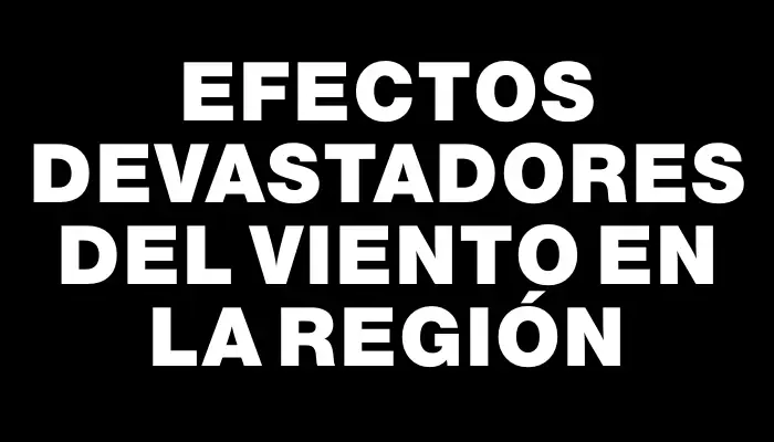 Efectos devastadores del viento en la región