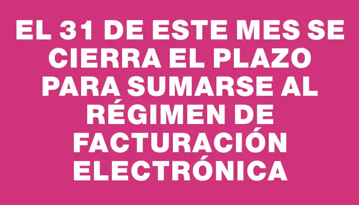 El 31 de este mes se cierra el plazo para sumarse al régimen de facturación electrónica