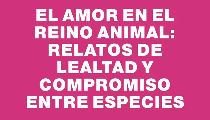 El Amor en el Reino Animal: Relatos de Lealtad y Compromiso Entre Especies