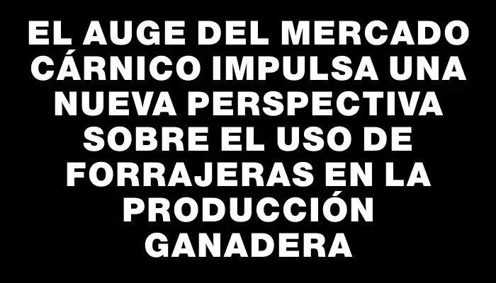 El auge del mercado cárnico impulsa una nueva perspectiva sobre el uso de forrajeras en la producción ganadera