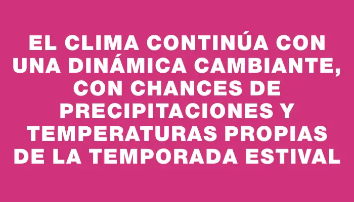 El clima continúa con una dinámica cambiante, con chances de precipitaciones y temperaturas propias de la temporada estival