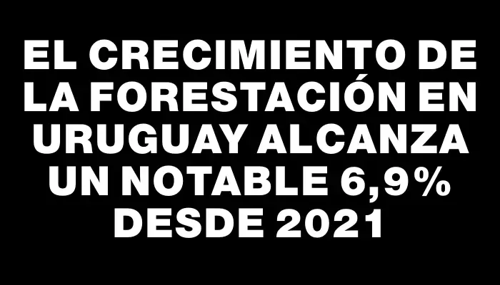 El crecimiento de la forestación en Uruguay alcanza un notable 6,9% desde 2021