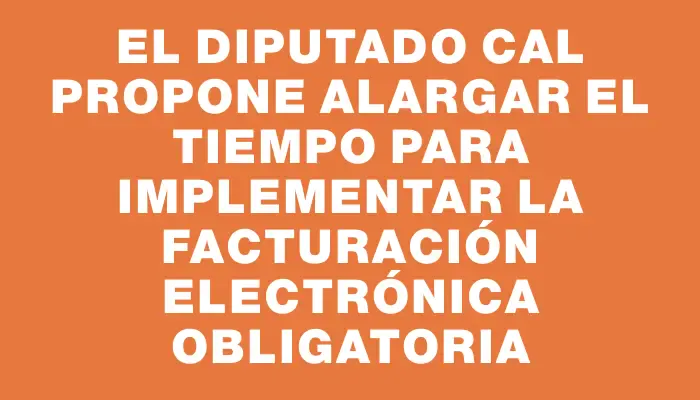 El Diputado Cal propone alargar el tiempo para implementar la facturación electrónica obligatoria