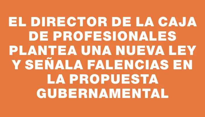 El Director de la Caja de Profesionales plantea una nueva ley y señala falencias en la propuesta gubernamental