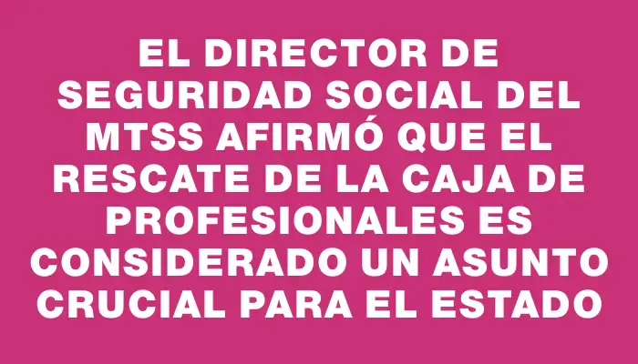 El director de Seguridad Social del Mtss afirmó que el rescate de la Caja de Profesionales es considerado un asunto crucial para el Estado