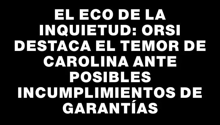 El eco de la inquietud: Orsi destaca el temor de Carolina ante posibles incumplimientos de garantías