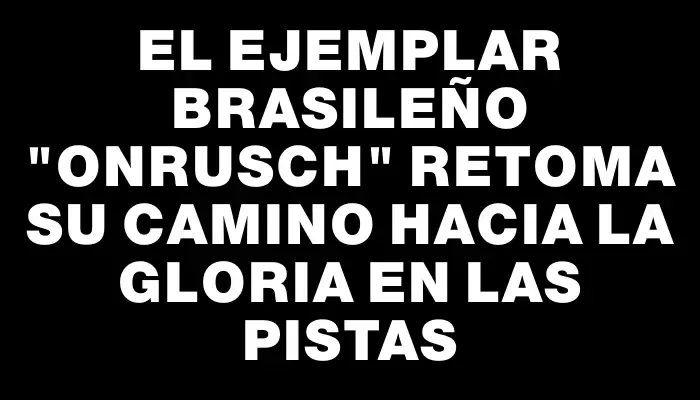 El ejemplar brasileño "Onrusch" retoma su camino hacia la gloria en las pistas