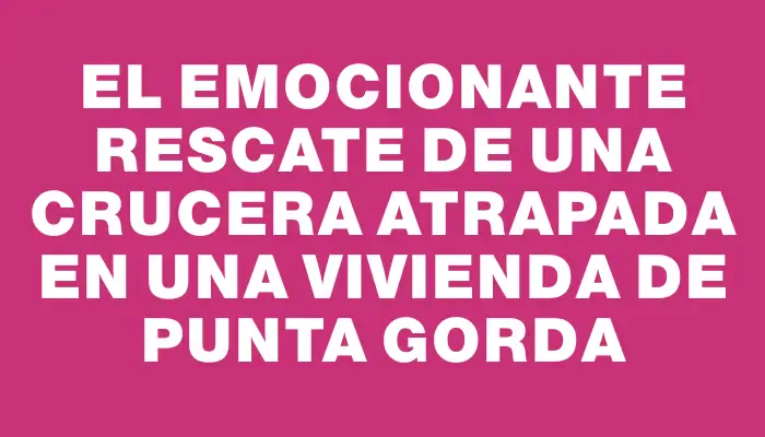 El emocionante rescate de una crucera atrapada en una vivienda de Punta Gorda