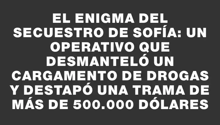 El enigma del secuestro de Sofía: un operativo que desmanteló un cargamento de drogas y destapó una trama de más de 500.000 dólares