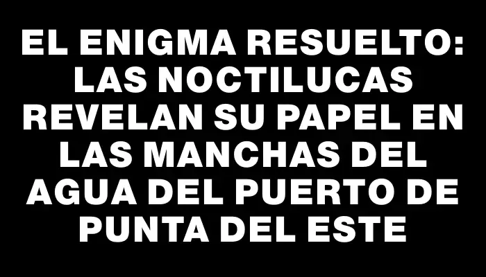 El enigma resuelto: las noctilucas revelan su papel en las manchas del agua del puerto de Punta del Este
