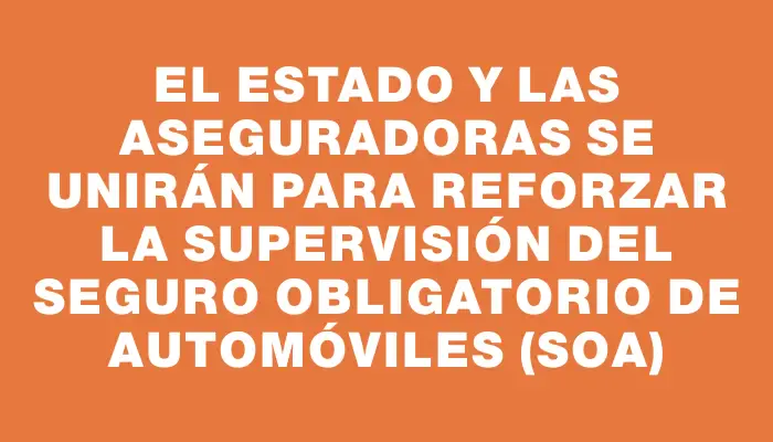 El Estado y las aseguradoras se unirán para reforzar la supervisión del Seguro Obligatorio de Automóviles (soa)