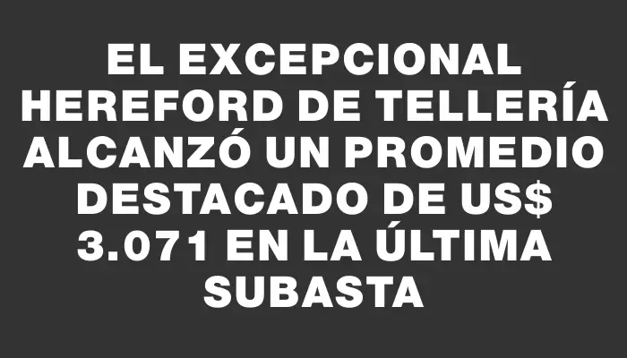 El excepcional Hereford de Tellería alcanzó un promedio destacado de Us$ 3.071 en la última subasta