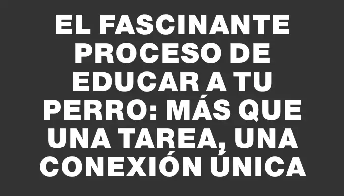 El fascinante proceso de educar a tu perro: más que una tarea, una conexión única