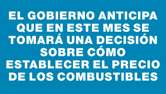 El Gobierno anticipa que en este mes se tomará una decisión sobre cómo establecer el precio de los combustibles