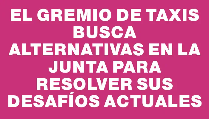 El gremio de taxis busca alternativas en la Junta para resolver sus desafíos actuales