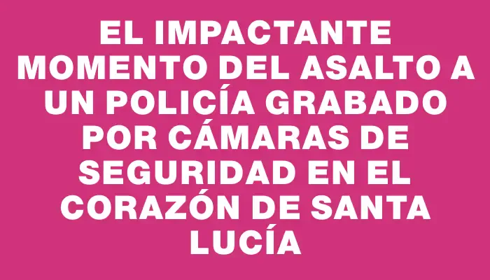 El impactante momento del asalto a un policía grabado por cámaras de seguridad en el corazón de Santa Lucía