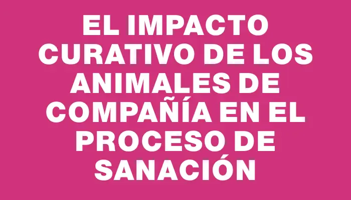 El Impacto Curativo de los Animales de Compañía en el Proceso de Sanación