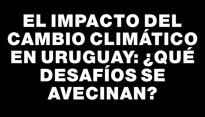 El impacto del cambio climático en Uruguay: ¿Qué desafíos se avecinan?