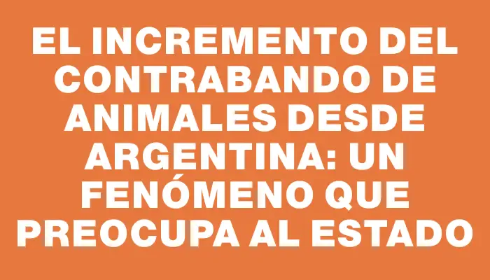 El incremento del contrabando de animales desde Argentina: Un fenómeno que preocupa al Estado