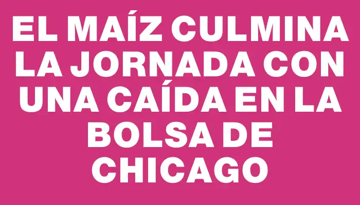 El maíz culmina la jornada con una caída en la Bolsa de Chicago
