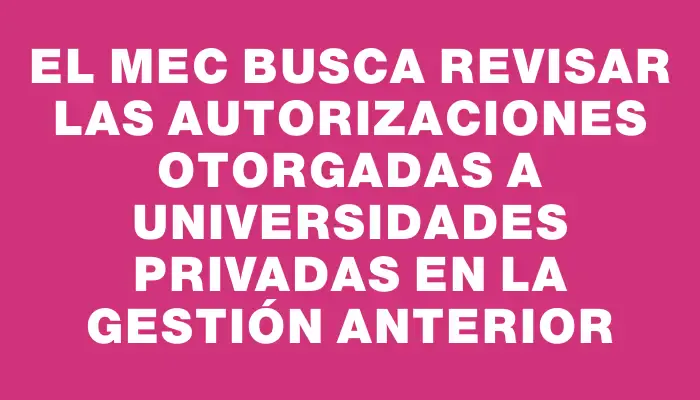 El Mec busca revisar las autorizaciones otorgadas a universidades privadas en la gestión anterior