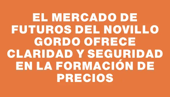 El mercado de futuros del novillo gordo ofrece claridad y seguridad en la formación de precios