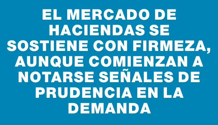 El mercado de haciendas se sostiene con firmeza, aunque comienzan a notarse señales de prudencia en la demanda