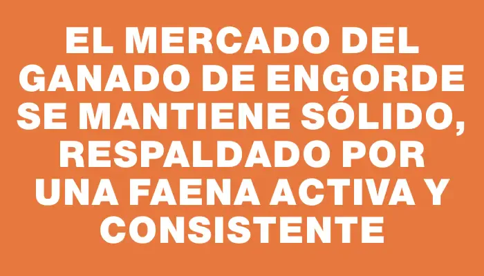 El mercado del ganado de engorde se mantiene sólido, respaldado por una faena activa y consistente