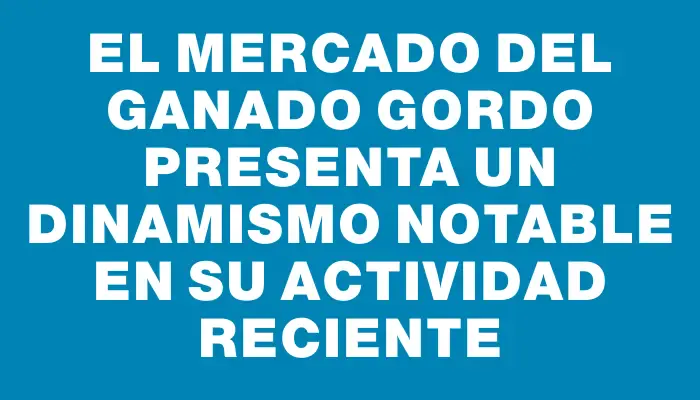 El mercado del ganado gordo presenta un dinamismo notable en su actividad reciente