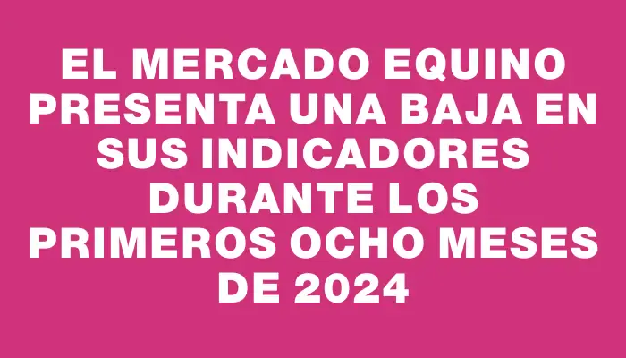 El mercado equino presenta una baja en sus indicadores durante los primeros ocho meses de 2024